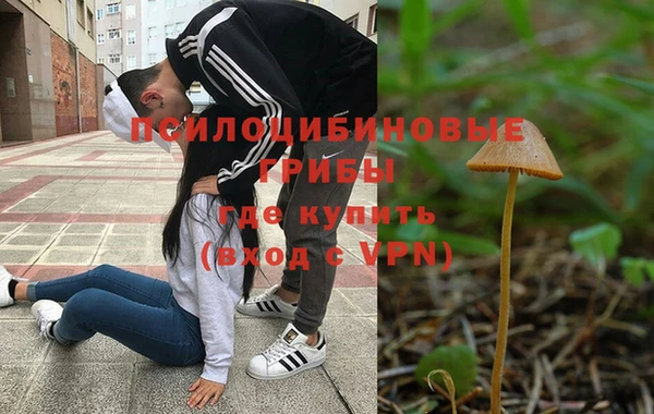 ешки Дмитров