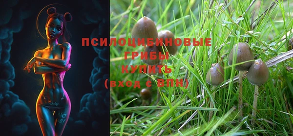 ешки Дмитров