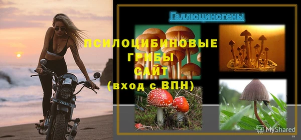 экстази Дмитровск