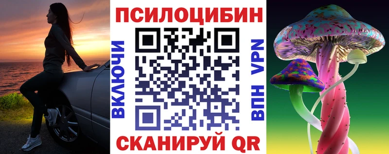 Галлюциногенные грибы Psilocybine cubensis  дарнет шоп  Фокино 